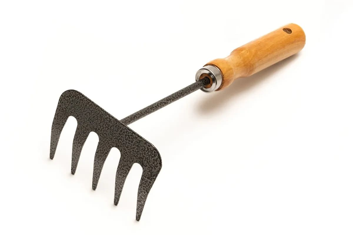 Граблі садові MASTERTOOL 5 зубів 255×95 мм з дерев'яною ручкою 14-6191